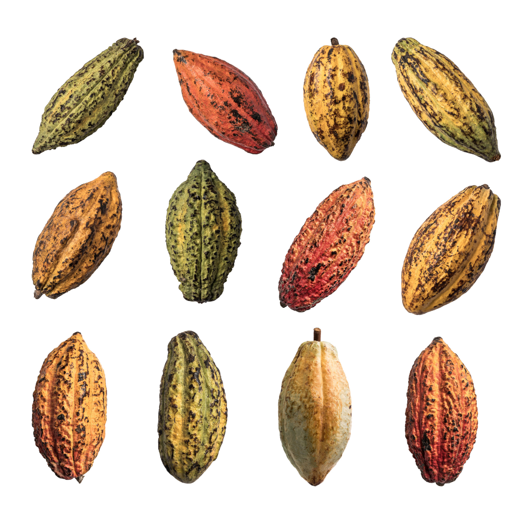 GIFT VERY DARK BOX : 70% - 100% Cacao